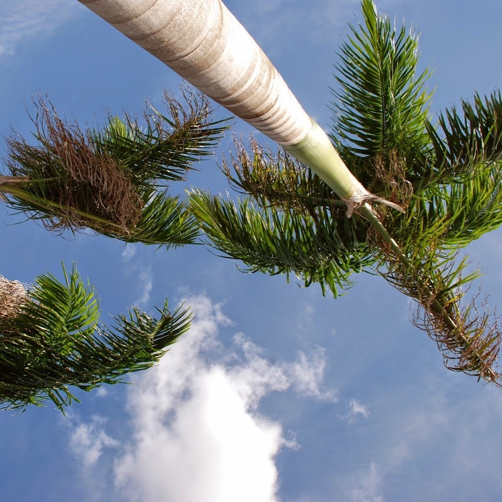 Meet your Posher, Susie